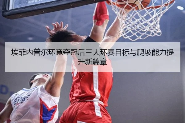 ai-fei-nei-pu-er-huan-yi-duo-guan-hou-san-da-huan-sai-mu-biao-yu-pa-po-neng-li-ti-sheng-xin-pian-zhang-2-603.jpg