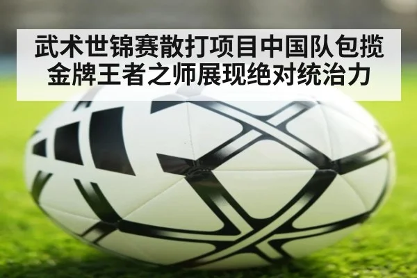 武术世锦赛散打项目中国队包揽金牌王者之师展现绝对统治力